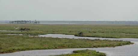 Las grandes planicies de los valles del St Johns Las grandes planicies de los valles del St Johns