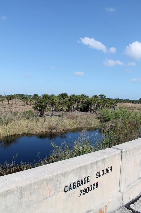 Cabbage Slough Cabbage Slough