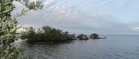 Pequeñas Islas en el Indian River, la costa oeste de Merritt Island Pequeñas Islas en el Indian River, la costa oeste de Merritt Island