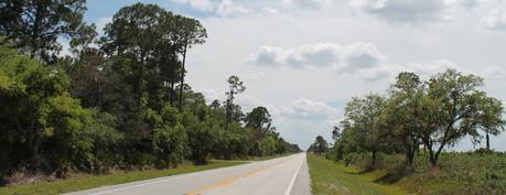 Walk in the Water Road