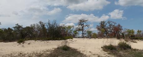 Las arenas de lo que millones de años atrás fueron playas a más de 100km del actual océano