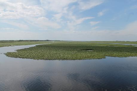 Kissimmee River