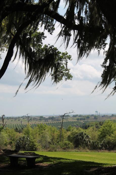 Desde la Iron Mountain