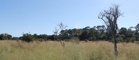 Paisajes en la Beacon Light Road