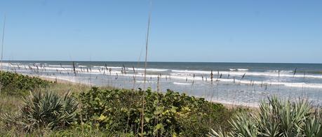 Océano Atlántico en el Canaveral National Seashore