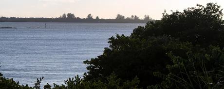 La bahía y Weedon Island de fondo