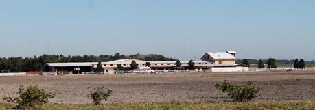 Vaquerías, plantaciones y mercados agrícolas en las áreas rurales de Hillsborough County Vaquerías, plantaciones y mercados agrícolas en las áreas rurales de Hillsborough County