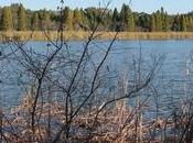 Ruta Brandon Valrico Hopewell Fort Lonesome Wimauma