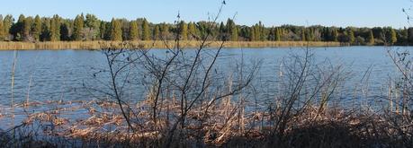 Paisajes en el Alafia River State Park Paisajes en el Alafia River State Park