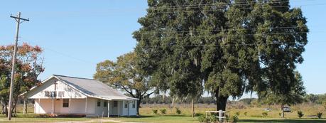 En la SR 60 al llegar a su intersección con la CR 39 En la SR 60 al llegar a su intersección con la CR 39