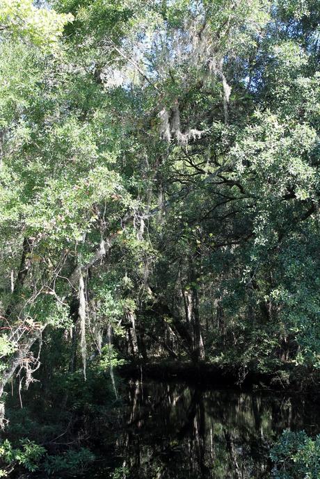 Little Manatee River Little Manatee River