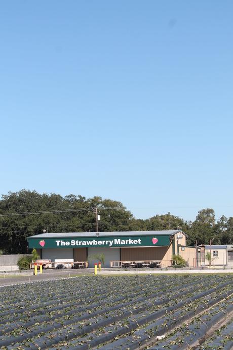 En Wimauma En Wimauma