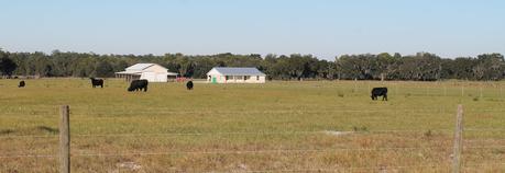 Paisajes del campo Paisajes del campo