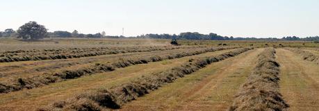 Tractor arando los campos Tractor arando los campos