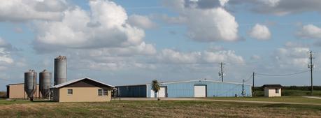 Establecimientos ganaderos en la CR 29