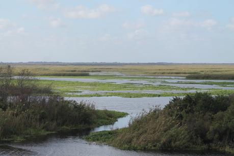 Harney Pond y Fisheating Creek