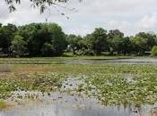 Ruta Withlacoochee State Trail