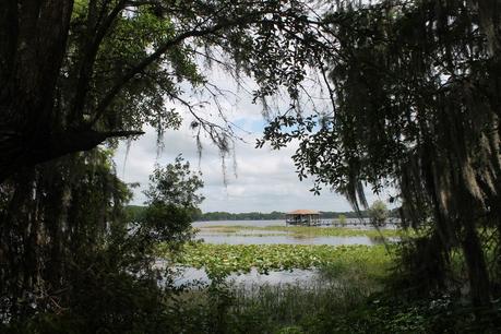 Tsala Apopka Lake Tsala Apopka Lake
