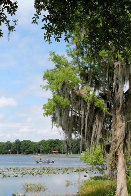 Paisajes del lago en Inverness Paisajes del lago en Inverness