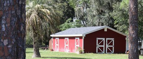 En las afueras de Saint Augustine En las afueras de Saint Augustine