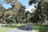 County Road 13 County Road 13