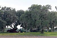 En los campos En los campos