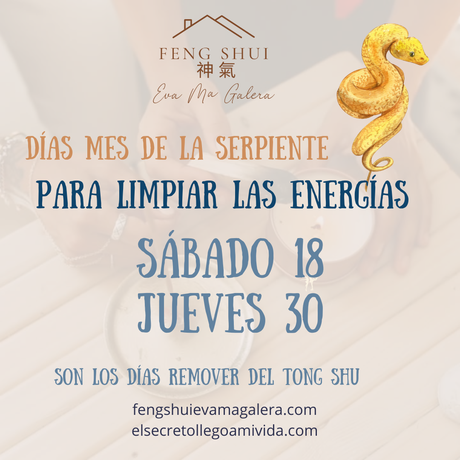 Días para limpiezas de energía 🪄