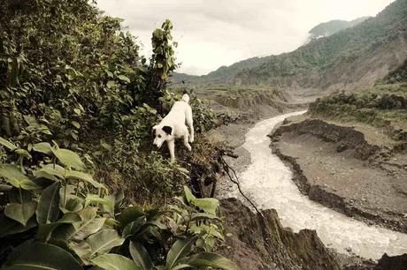 La histórica erosión de un río en Ecuador impacta como un terremoto en cámara lenta
