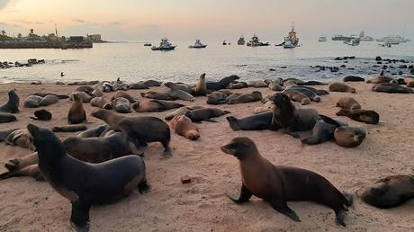 GALÁPAGOS: SAN CRISTÓBAL,  LA ISLA MÁS ORIENTAL