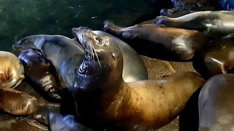 GALÁPAGOS: SAN CRISTÓBAL,  LA ISLA MÁS ORIENTAL