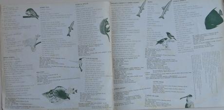 A Cor Do Som - Magia Tropical (1978) A Cor Do Som - Magia Tropical (1978)