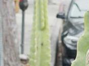 empresas Hollywood están probando nuevo enfoque para eliminar campamentos personas hogar