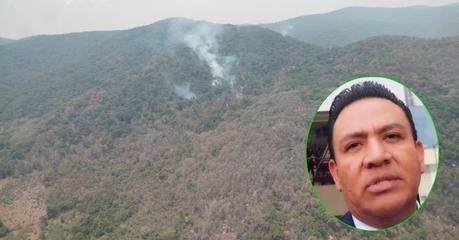 Cuatro incendios forestales han sido provocados por acción humana: Guadalupe Castillo