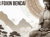 Instrucciones para Zazen, Foxin Bencai