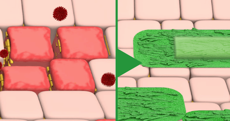 Kijimea Colon Irritable Pro: opiniones y análisis completo (2024)