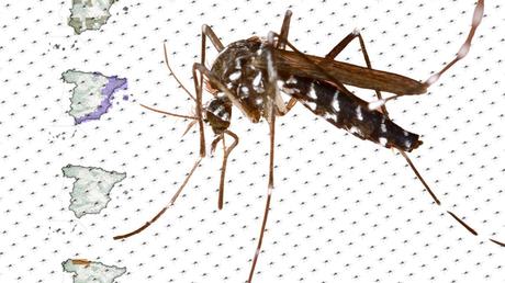 Europa ya sufre dificultades en el acceso a alimentos por las olas de calor y la sequía Europa ya sufre dificultades en el acceso a alimentos por las olas de calor y la sequía