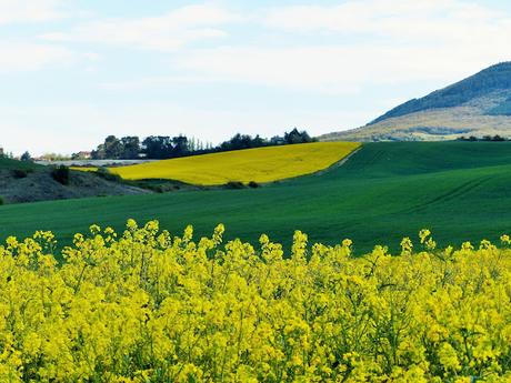 NOCHES DE INSOMNIO NOCHES DE INSOMNIO