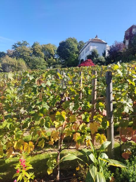 Corona Borealis Corona Borealis