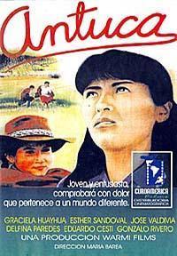 OPINIÓN DE ANTUCA DE MARÍA BAREA