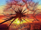 hemos levantarnos cada mañana