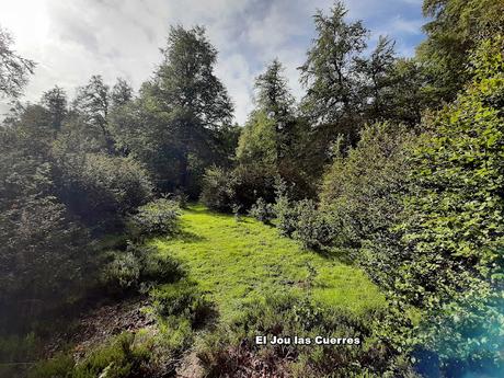 Tielve-Bierru-La Cabecina Quemada (Peña Maín)-Argandobín-Dobru