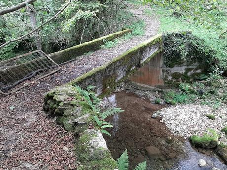 Tielve-Bierru-La Cabecina Quemada (Peña Maín)-Argandobín-Dobru