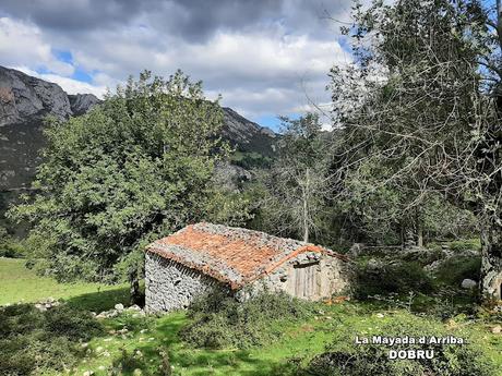 Tielve-Bierru-La Cabecina Quemada (Peña Maín)-Argandobín-Dobru