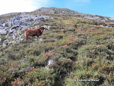 Tielve-Bierru-La Cabecina Quemada (Peña Maín)-Argandobín-Dobru