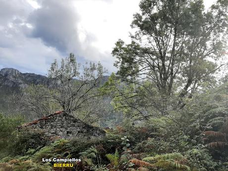 Tielve-Bierru-La Cabecina Quemada (Peña Maín)-Argandobín-Dobru
