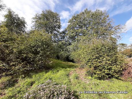 Tielve-Bierru-La Cabecina Quemada (Peña Maín)-Argandobín-Dobru