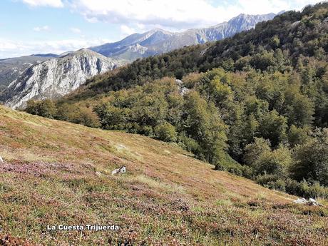 Tielve-Bierru-La Cabecina Quemada (Peña Maín)-Argandobín-Dobru