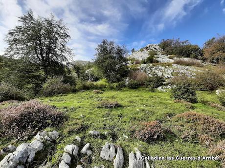 Tielve-Bierru-La Cabecina Quemada (Peña Maín)-Argandobín-Dobru