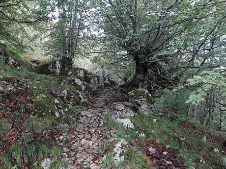 Tielve-Bierru-La Cabecina Quemada (Peña Maín)-Argandobín-Dobru