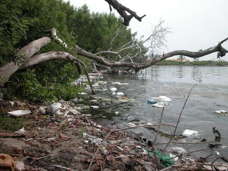 Contaminación de acuíferos afecta a 3 mil millones de personas